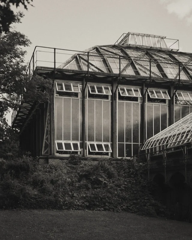 When a window is enough to forget about outside.
.
#botanicgarden #architecture #travelphotographer